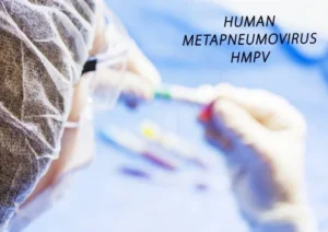 What is HMPV virus_ (2)