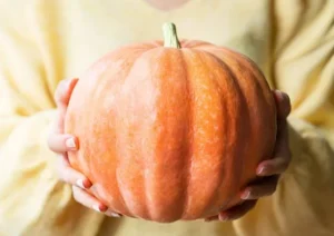 Pumpkin seeds are highly nutritious and powerful antioxidants. (1)