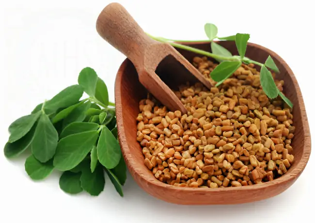Fenugreek benefits, how to use_
