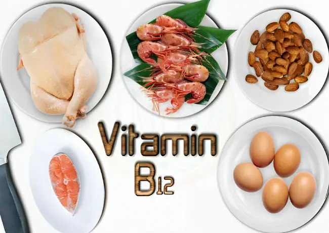 Foods rich in vitamin b12