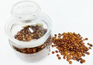What is horse gram_ eating horse gram benefits