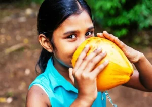 Benefits of drinking coconut water with pulp (2)