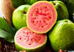 Benefits of drinking guava leaf water (2)