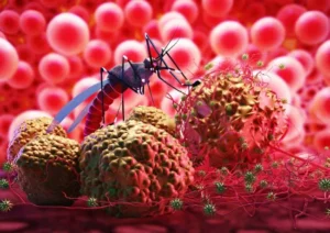 Dengue Fever