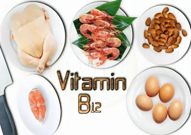 Foods rich in vitamin b12
