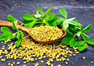 What Fenugreek benefits, how to use_ (3)