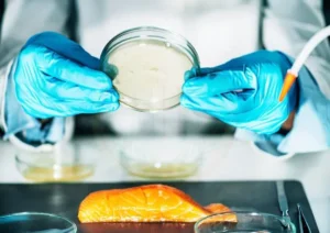 What is salmonella enteritidis bacteria_ (2)