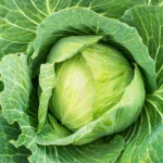 Cabbage soup for weight loss recipe.