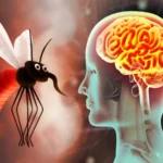 What is granulomatous amebic encephalitis