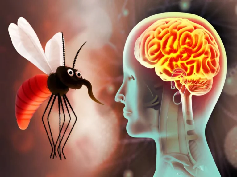 What is granulomatous amebic encephalitis