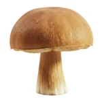 10 health benefits of mushrooms