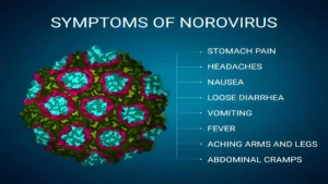 What is the norovirus (1)