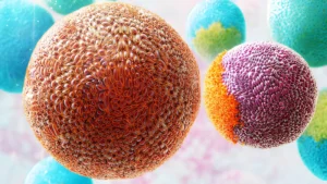 What is the norovirus (3)