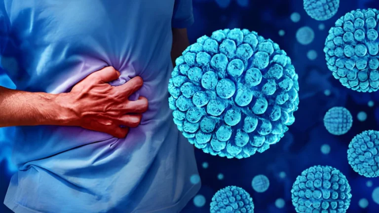 What is the norovirus